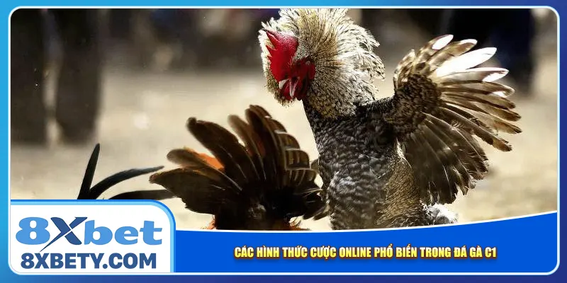 Các hình thức cược online phổ biến trong đá gà C1