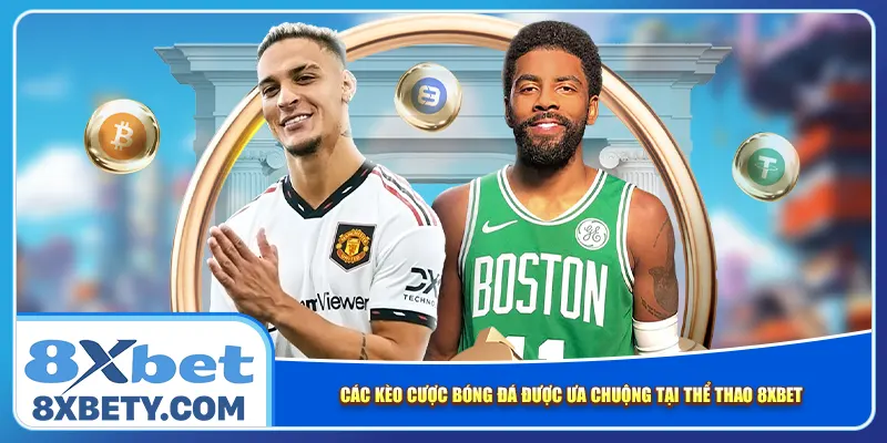 Các kèo cược bóng đá được ưa chuộng tại thể thao 8xbet