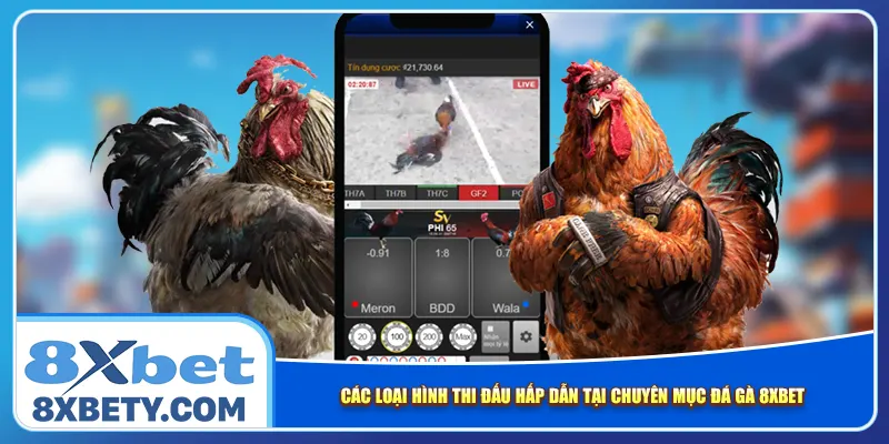 Các loại hình thi đấu hấp dẫn tại chuyên mục đá gà 8xbet