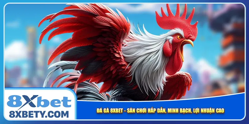 da-ga-8xbet-san-choi-hap-dan-minh-bach-loi-nhuan-cao