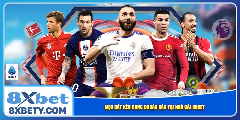Mẹo bắt kèo rung chuẩn xác tại nhà cái 8xbet