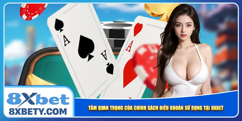 Tầm quan trọng của chính sách điều khoản sử dụng tại 8xbet